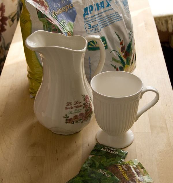 Dyrking av arugula i hjemmet forhold