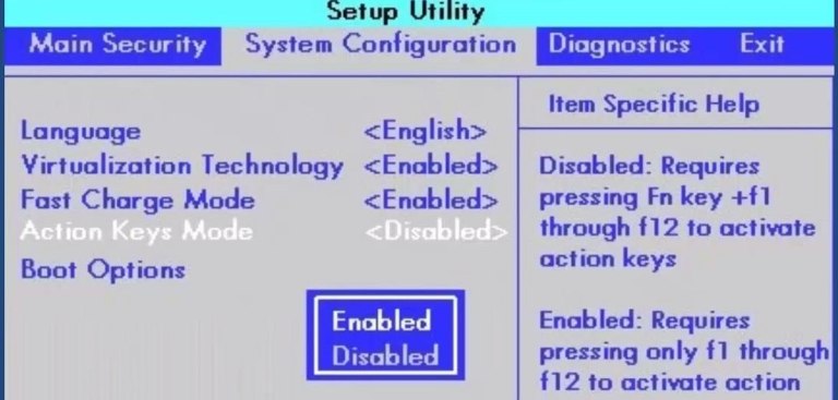 bios vindu