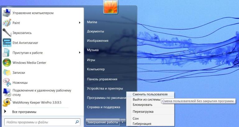 programvinduer