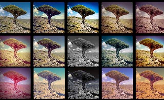 Slik bruker du Instagram