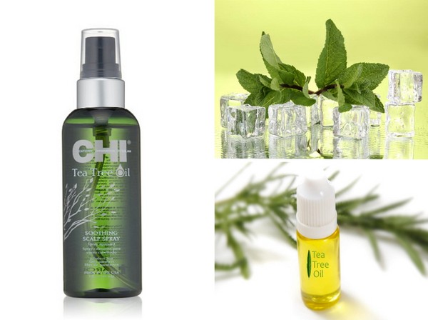 Sommer fuktighetsgivende: en samling av hårpleie SHI Tea Tree Oil