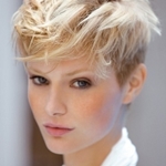 Bangs vinter 2013