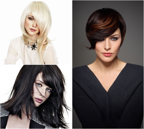 Bangs vinter 2013