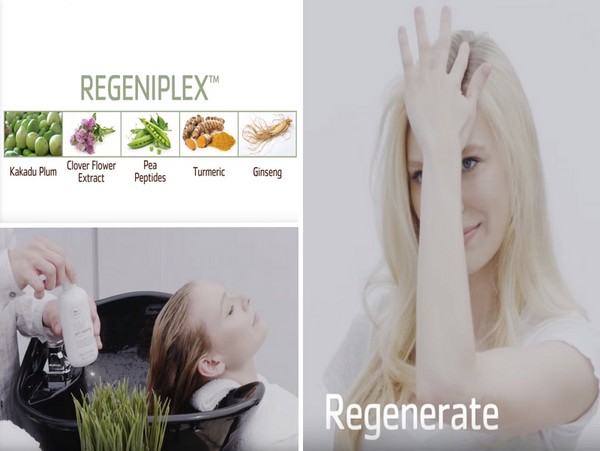 Hårstyrke fra røtter til tips: Paul Mitchell Tea Tree Scalp Care serien