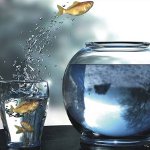 Comfort Zone: Hvordan utvide den?