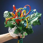 Dag for systemadministratoren