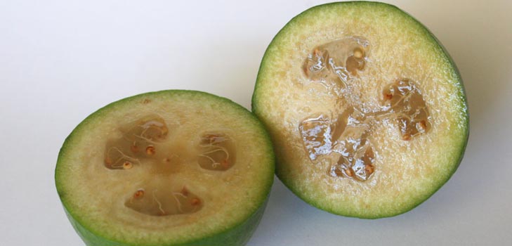 Feijoa - nyttige egenskaper, fordeler og skader av feijoa