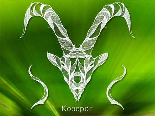 tegning for kvinner ibex