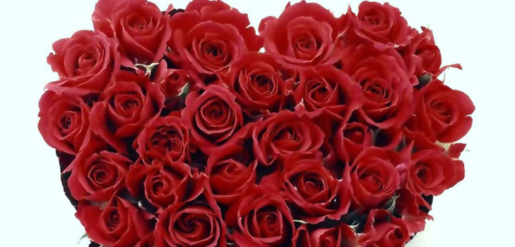 Hvordan gratulere en jente på Valentinsdag: de beste måtene