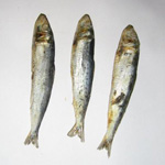Slik tørker du fisk