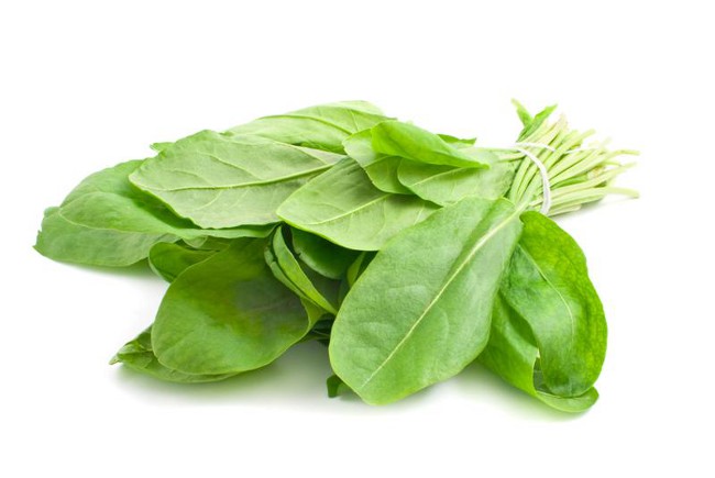 Hvordan anskaffe sorrel til vinteren?