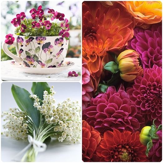 Hvilke blomster å gi den 8. mars