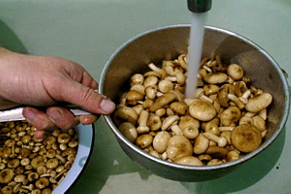 Hermetisert sopp for vinteren