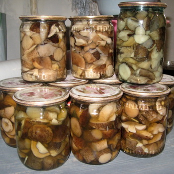 Hermetisert sopp for vinteren
