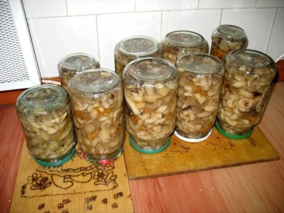 Hermetisert sopp for vinteren