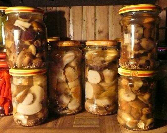 Hermetisert sopp for vinteren
