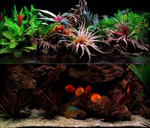 Lag et akvarium med egne hender