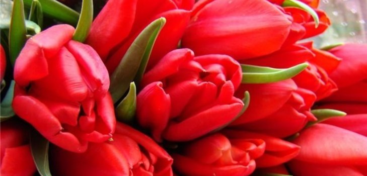 haug med blomster
