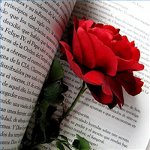 Gratulerer med Valentinsdag i vers Gratulerer med Valentinsdag i vers