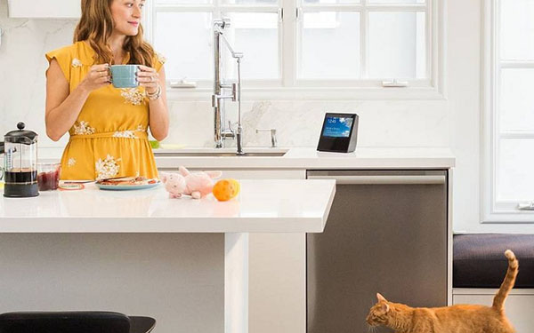 Smart hjemmeakustikk: Amazon Echo Show system