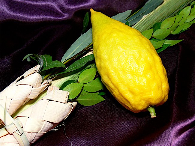 Sukkot: Shalashi-fest