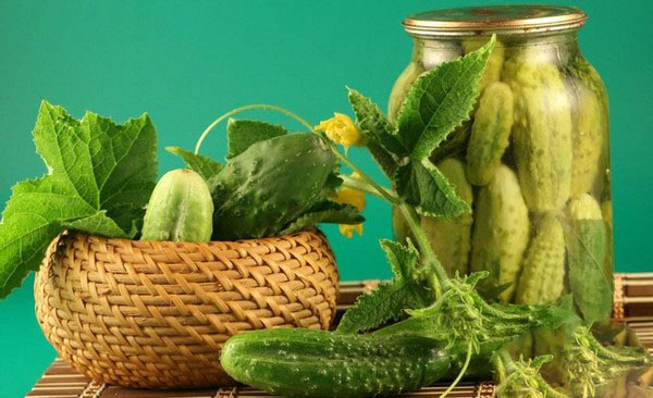 Crispy agurker for vinteren - syltet, uten eddik, uten sterilisering. De beste enkle oppskrifter med bilder av sprø agurker i bokser med vodka