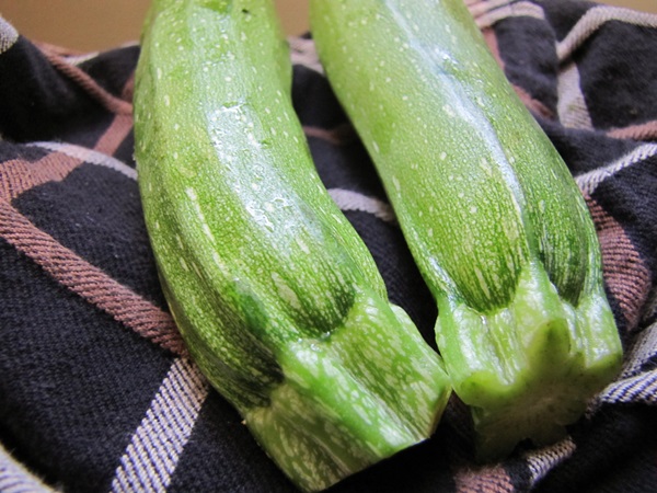 Krydret kucchini på koreansk - den mest delikate oppskriften på vinteren