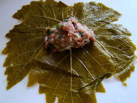 Slik lagrer du dolma hjemme
