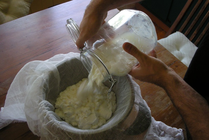 Hvordan lage matost fra melk hjemme Hvordan lage matost fra melk hjemme