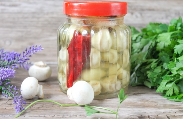 Slik salt sopp for vinteren