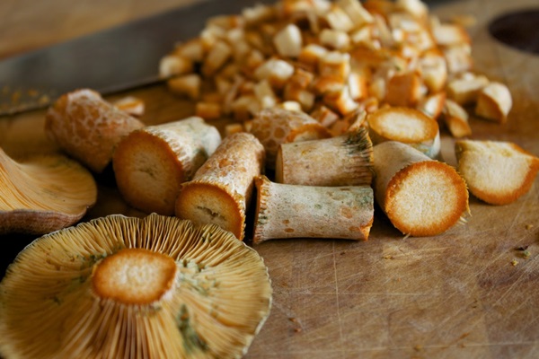 Slik salt sopp for vinteren