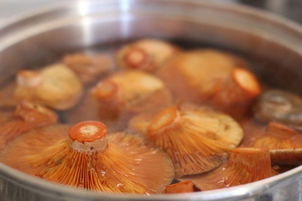 Slik salt sopp for vinteren