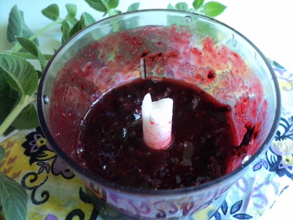 Hvordan fryse svart currant i form av sorbet