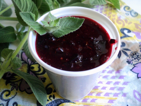 Hvordan fryse svart currant i form av sorbet