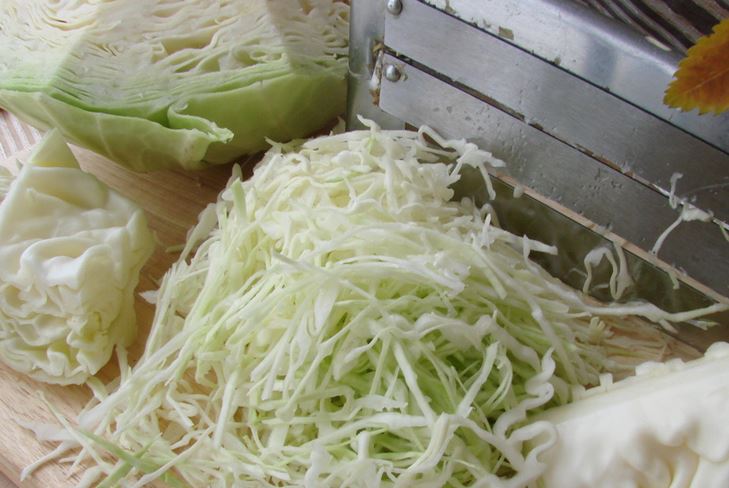 Salting kål for vinteren
