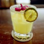 Cocktailer med tequila