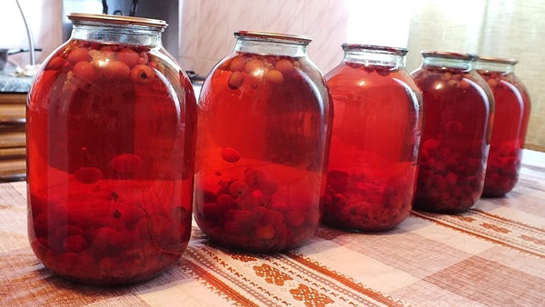 Kompositt fra chokeberry ashberry