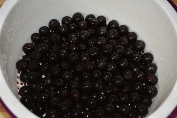 Kompositt fra chokeberry ashberry