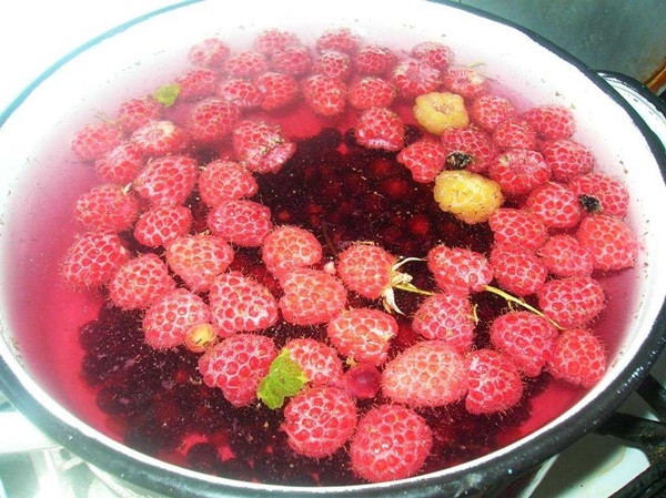 Delicious compote av bringebær for vinteren