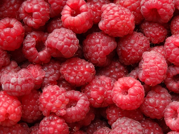 Delicious compote av bringebær for vinteren