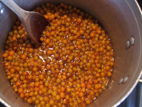 Pasteurisert syltetøy fra havtorn