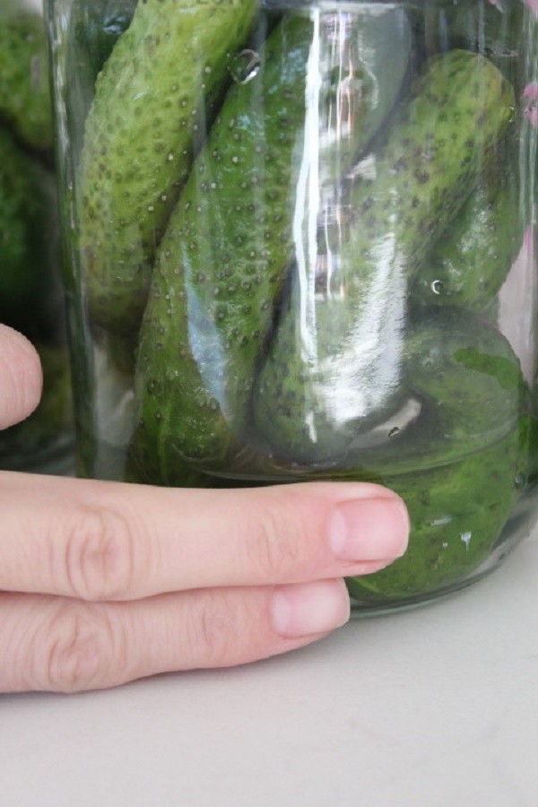 Gurk med sennep for vinteren i bokser, oppskrifter med foto