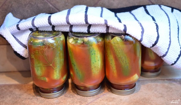 Agurker med ketchup for vinteren - uten sterilisering, i bokser. Høsting for vinterskarp og sprø agurk med ketchup chili Agurker med ketchup for vinteren - uten sterilisering, i bokser. Høsting for vinterskarp og sprø agurk med ketchup chili