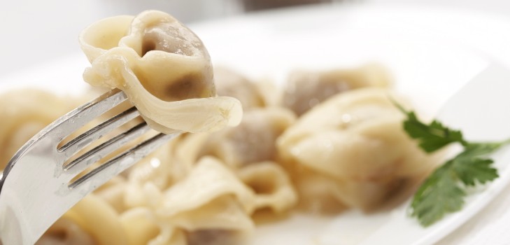 De beste oppskrifter for kylling kjøtt dumplings