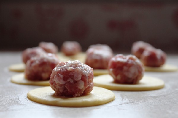 De beste oppskrifter for kylling kjøtt dumplings