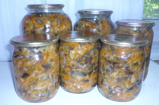 Mushroom hodgepodge for vinteren med kål