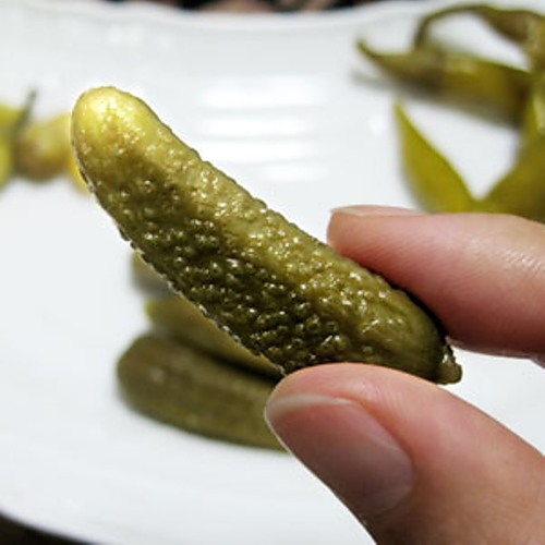 Gurkesalat til vinteren
