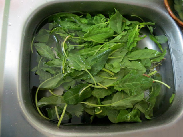 Hvordan rulle sorrel for vinteren uten salt