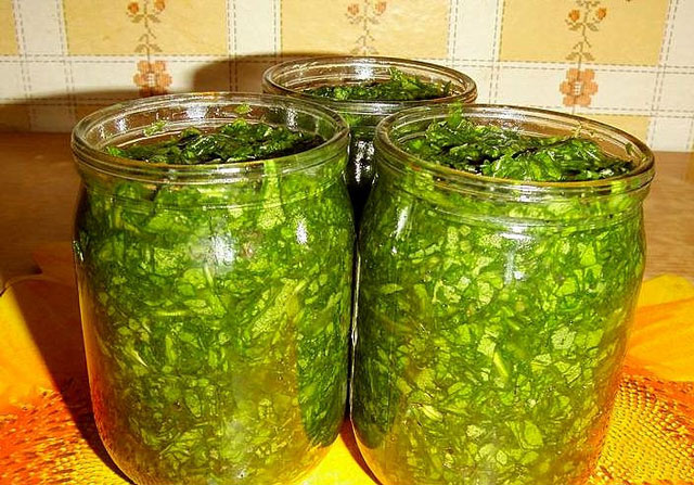 Hvordan rulle sorrel for vinteren med salt