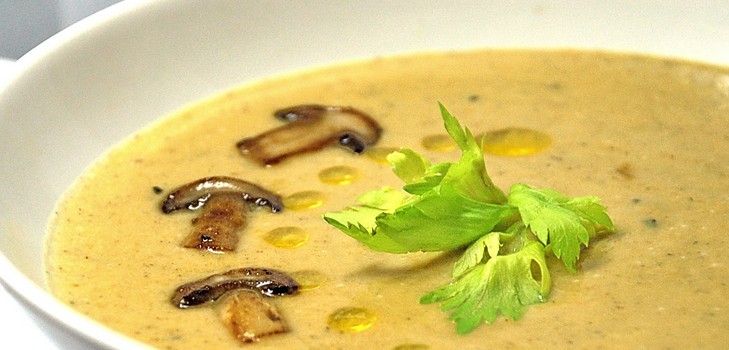 Suppe fra bjørkebark: oppskrifter med foto